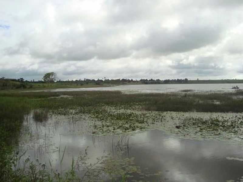 JUNQUEIRO-AL-LAGOA NO BAIRRO RETIRO,MARGEADA POR JUNCO-FOTO:WWW.WIKIALAGOAS.AL.  - JUNQUEIRO - AL