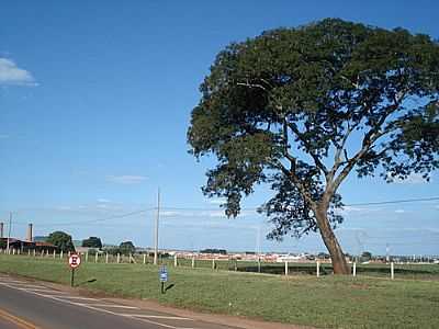 VISTA DA CIDADE-FOTO:LPSLPS  - SANTA CRUZ DAS PALMEIRAS - SP