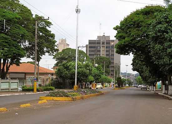 SANTA CRUZ DO RIO PARDO-SP-AVENIDA TIRADENTES-FOTO:EMERSON GONALVES - SANTA CRUZ DO RIO PARDO - SP