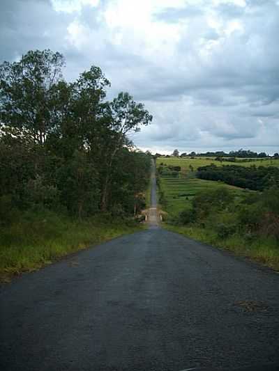 ESTRADA VICINAL-FOTO: M.M.C  - SANTA CRUZ DOS LOPES - SP