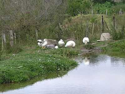 IMAGEM-FOTO:SAMIRCESAR  - SANTA ERNESTINA - SP