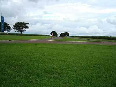 ENTRADA DA USINA BONFIM-FOTO:UMBERTO MORENO  - SANTA ERNESTINA - SP