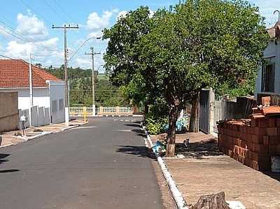 RUA JOO NASCIMENTO CORREIA-FOTO:LEONELIO  - SANTA ERNESTINA - SP