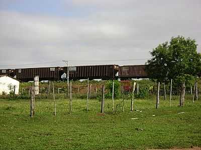 TREM EM SANTA ERNESTINA-FOTO:BETINHO FERREIRA  - SANTA ERNESTINA - SP