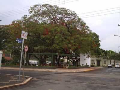 PRAA DO JARDIM COM PREFEITURA AO FUNDO, POR FRANCISCO - SANTA GERTRUDES - SP