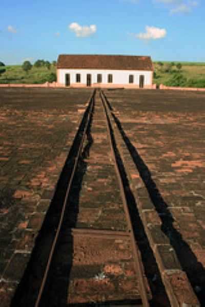 TULHA-FOTO:PATYPECEGUINIVIANA  - SANTA LCIA - SP