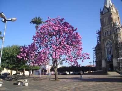 IGREJA MATRIZ, POR ANGELA - SANTA RITA DO PASSA QUATRO - SP