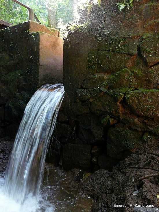 CRREGO DA GRUTA NO PARQUE ESTADUAL VASSUNUNGA EM SANTA RITA DO PASSA QUATRO-SP-FOTO:EMERSON R. ZAMPROGNO - SANTA RITA DO PASSA QUATRO - SP