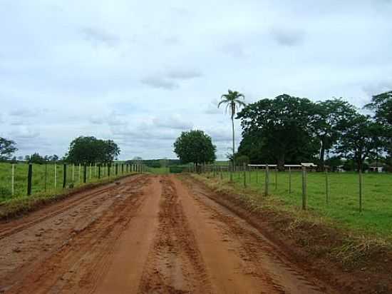 ESTRADA RURAL-FOTO:LAUZYNHA89  - SANTANA DA PONTE PENSA - SP