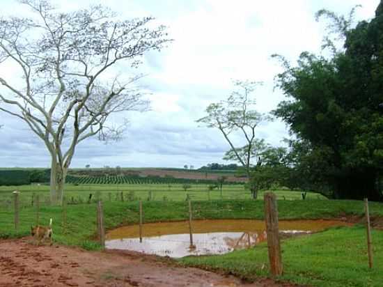 LAGO EM REA RURALFOTOLAUZYNHA89 6LAGO EM REA RURALFOTOLAUZYNHA89 6LAGO EM REA RURAL-FOTO:LAUZYNHA89  - SANTANA DA PONTE PENSA - SP