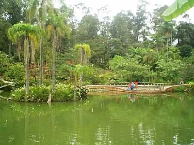 FOTO:WWW.SKYSCRAPERCITY.COM - SANTO ANDR - SP