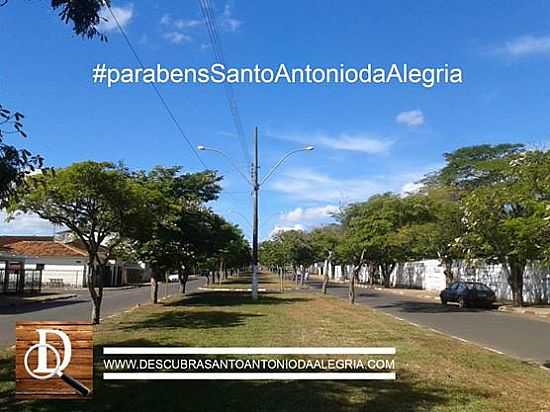 SANTO ANTNIO DA ALEGRIA - SP - SANTO ANTNIO DA ALEGRIA - SP