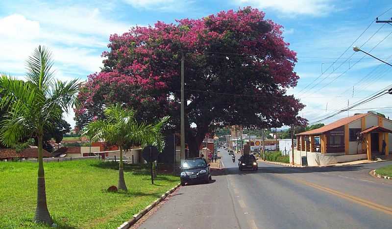 IMAGENS DA CIDADE DE SANTO ANTNIO DE POSSE - SP - SANTO ANTNIO DE POSSE - SP