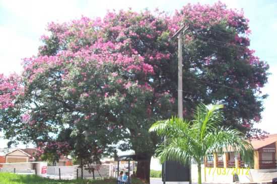 PAINEIRA DA ENTRADA, POR C.CESAR - SANTO ANTNIO DE POSSE - SP