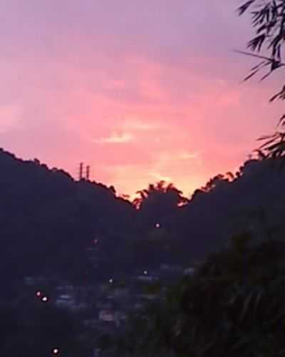 MORRO DA NOVA CINTRA, POR ALEXANDRE FRANCISCO PESTANA  - SANTOS - SP