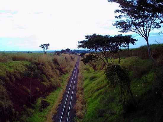 RODOVIA-FOTO:JOSUE F OLIVEIRA  - SO BENEDITO DA CACHOEIRINHA - SP