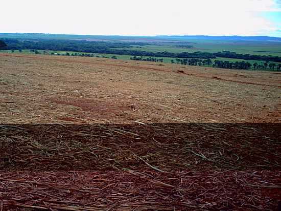 VISTA DA REGIO-FOTO:JOSUE F OLIVEIRA  - SO BENEDITO DA CACHOEIRINHA - SP