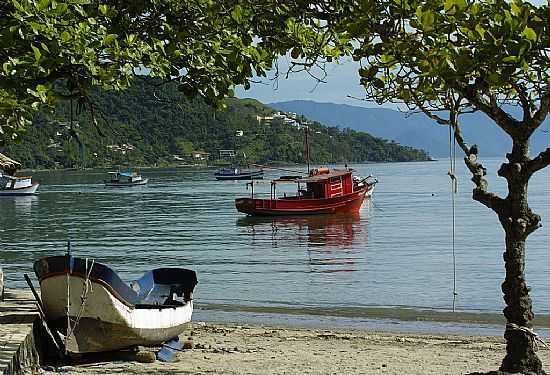 SO FRANCISCO DA PRAIA-SP-BARCOS NA PRAIA DE SO FRANCISCO-SO SEBASTIO-FOTO:JVIGANO - SO FRANCISCO DA PRAIA - SP