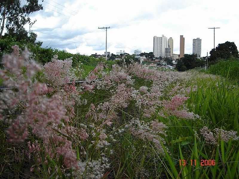 SO JOO DA BOA VISTA-SP-VISTA DO CENTRO DA CIDADE-FOTO:PY2BBS - SO JOO DA BOA VISTA - SP