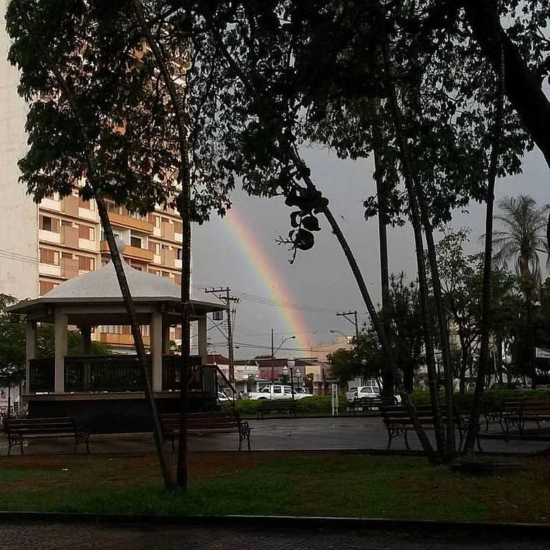 FOTO: KAMILA BOCALON - SO JOAQUIM DA BARRA - SP