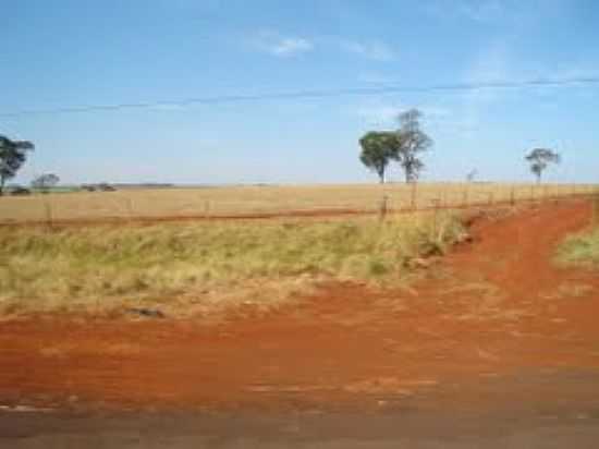 CAMPO-FOTO:RENATO V. ALBARRAL - SO JOS DA BELA VISTA - SP