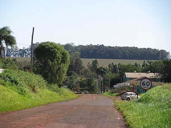 ENTRADA DA CIDADE-FOTO:BURCARDO  - SO JOS DAS LARANJEIRAS - SP