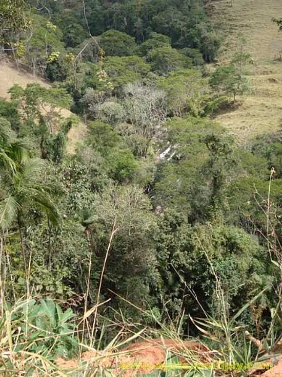 TRILHA DA PEDRA DA BACIA  EM SO JOS DO BARREIRO-SP-FOTO:J. AUGUSTO - SO JOS DO BARREIRO - SP