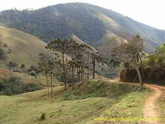 TRILHA DA PEDRA DA BACIA  EM SO JOS DO BARREIRO-SP-FOTO:J. AUGUSTO - SO JOS DO BARREIRO - SP