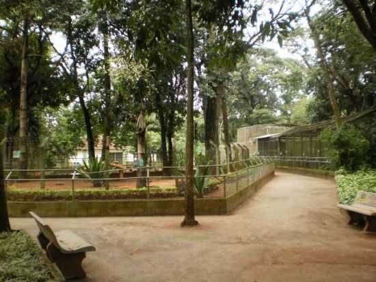 INTERIOR DA ILHA DE SO PEDRO, POR VALDIR FERREIRA - SO JOS DO RIO PARDO - SP