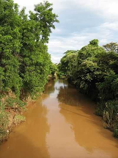 FOTO:POR ANDR BONACIN - SO JOS DO RIO PRETO - SP