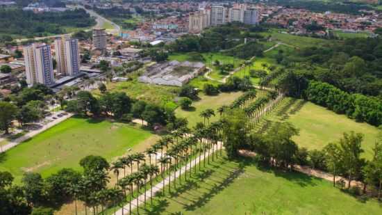 PARQUE DA CIDADE E SUAS PALMEIRAS IMPERIAIS, POR JOSEFA LACERDA - SO JOS DOS CAMPOS - SP