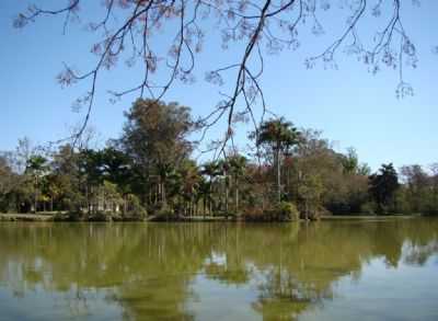 PARQUE DA CIDADE SO JOS DOS CAMPOS SP, POR EDEMAR CARLOS HEBLING  - SO JOS DOS CAMPOS - SP