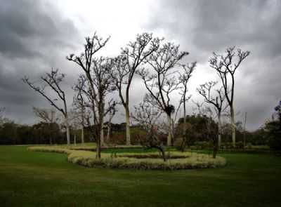 PARQUE DA CIDADE - SO JOS DOS CAMPOS SP, POR EDEMAR CARLOS HEBLING - SJCAMPOS SP - SO JOS DOS CAMPOS - SP