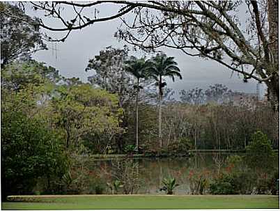 PARQUE DA CIDADE - SO JOS DOS CAMPOS SP, POR EDEMAR CARLOS HEBLING - SJCAMPOS SP - SO JOS DOS CAMPOS - SP