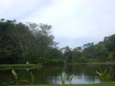 PARQUE DA CIDADE , POR MIRIAM - SO JOS DOS CAMPOS - SP