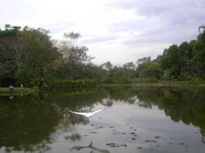 PARQUE DA CIDADE , POR MIRIAM - SO JOS DOS CAMPOS - SP