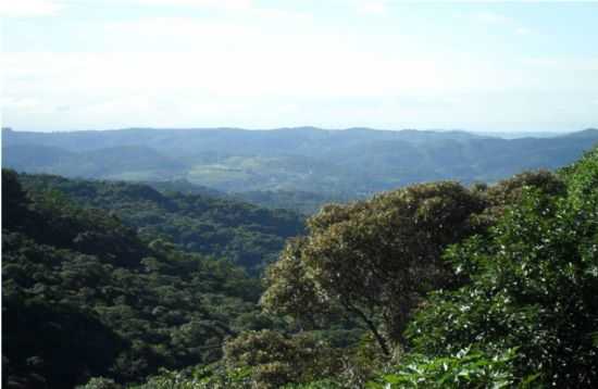 VISTA PANORAMICA, POR PEDRO PEDROSO - SO LOURENO DA SERRA - SP