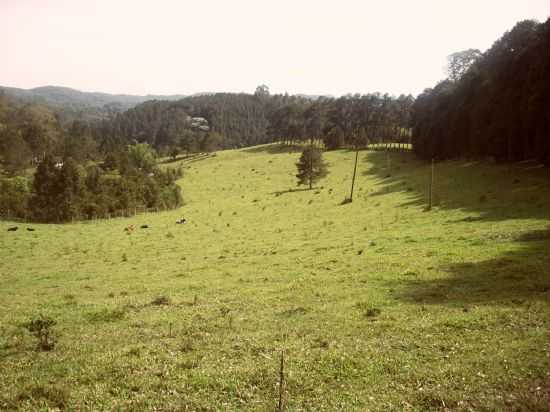 VISTA MEIO RURAL, POR PEDRO PEDROSO - SO LOURENO DA SERRA - SP