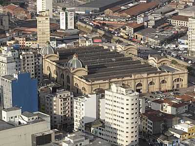 MERCADO MUNICIPAL, POR ANDR BONACIN - SO PAULO - SP