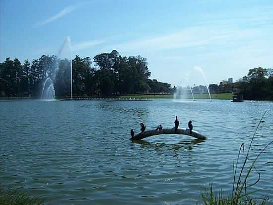 FONTE E LAGO DO IBIRAPUERA-FOTO:JADEON BASILIO DE FR - SO PAULO - SP