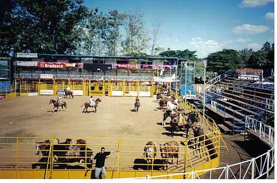 RODEIO-FOTO:OBERDAM  - SO PEDRO DO TURVO - SP