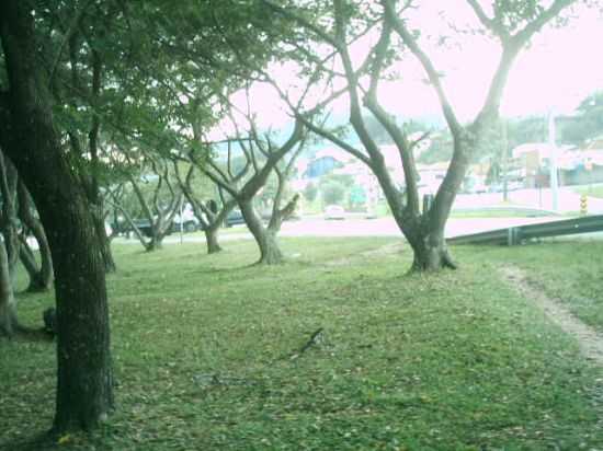 PRAA, POR ANTONIO CCERO DA SILVA(GUIA) - SO ROQUE - SP