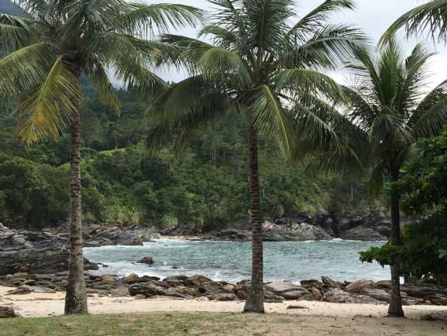 PRAIA DAS CALHETAS, POR MARCIO ROVER - SO SEBASTIO - SP