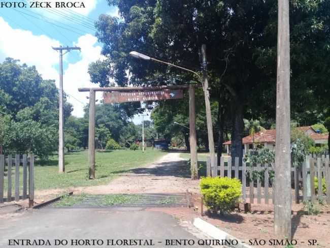 HORTO FLORESTAL, POR ZCK BROCA - SO SIMO - SP
