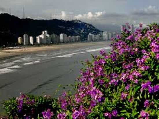 MIRANTE DE OSCAR NIEMEYER EM SO VICENTE-FOTO:♣ SERGIO DELMONICO ♣ - SO VICENTE - SP