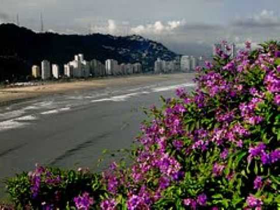 MIRANTE DE OSCAR NIEMEYER EM SO VICENTE-FOTO:♣ SERGIO DELMONICO ♣ - SO VICENTE - SP