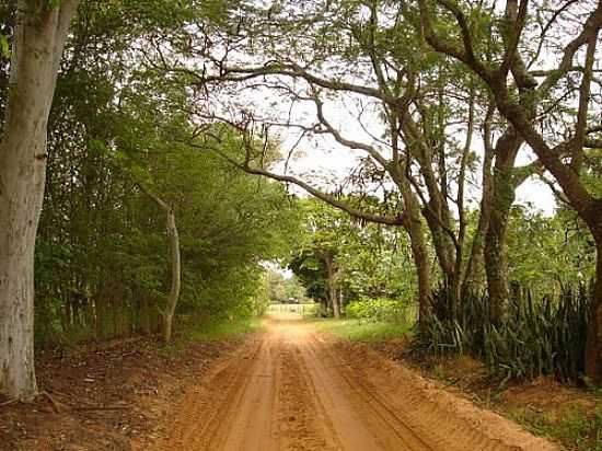 ANTIGA ESTRADA DE SAPEZAL-FOTO:WILSPAVIER  - SAPEZAL - SP