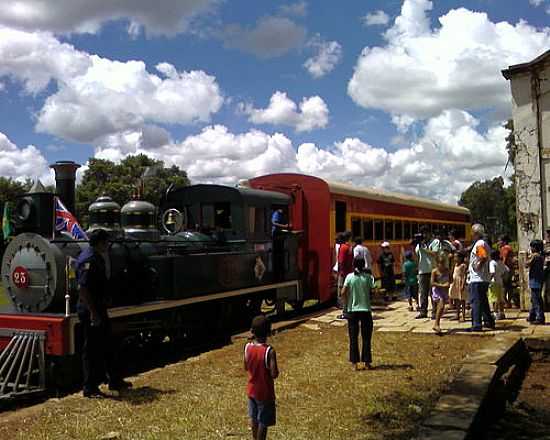 TREM MOITA BONITA-FOTO:MAURCIO BALLAROTTI - SAPEZAL - SP