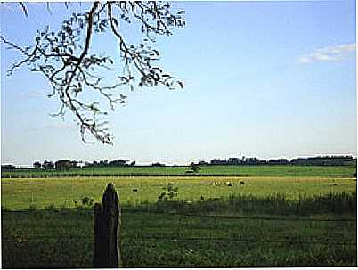 PAISAGEM RURAL-FOTO:OLDBOY - SEBASTIANPOLIS DO SUL - SP