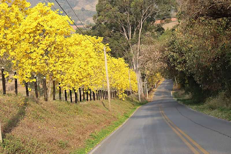 IMAGENS DA CIDADE DE SERRA NEGRA - SP - SERRA NEGRA - SP